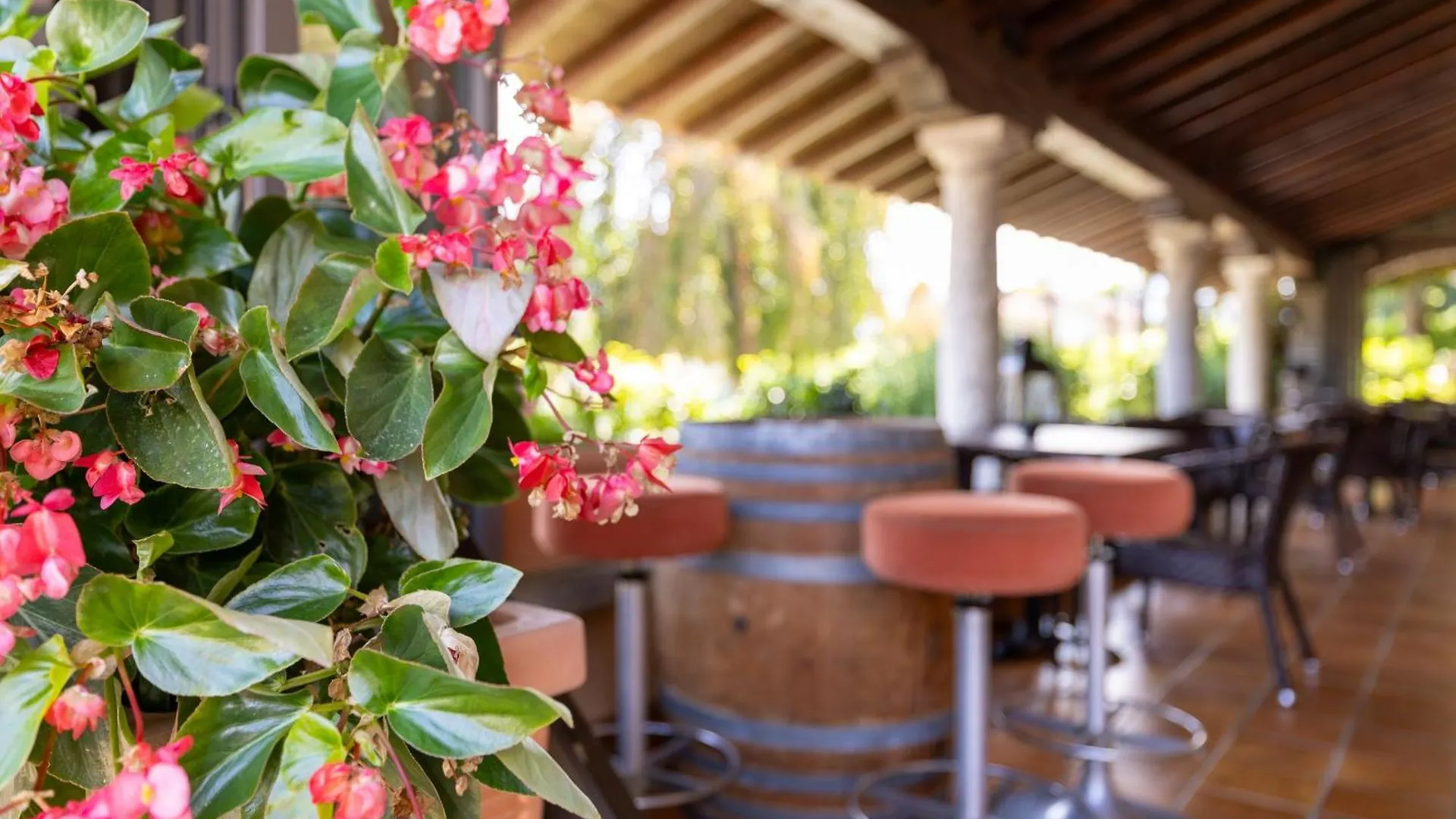 טרמצו Albergo Villa Edy 3*,