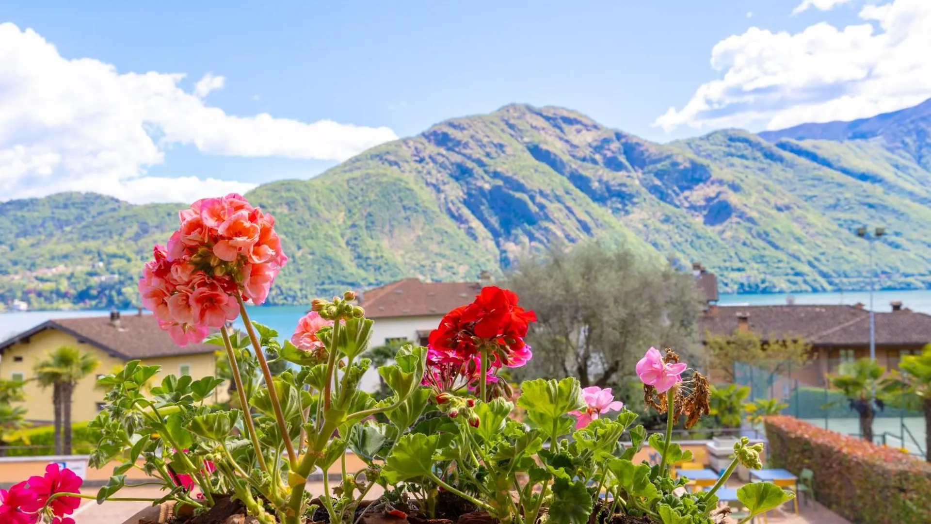 Albergo Villa Edy Tremezzo Italie